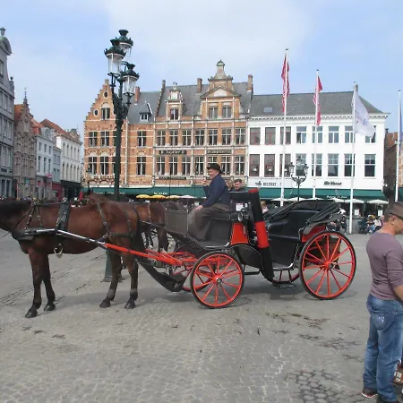 With Sea View And Panoramic View In Appartamento *